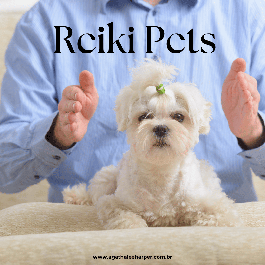 REIKI Pet (2)