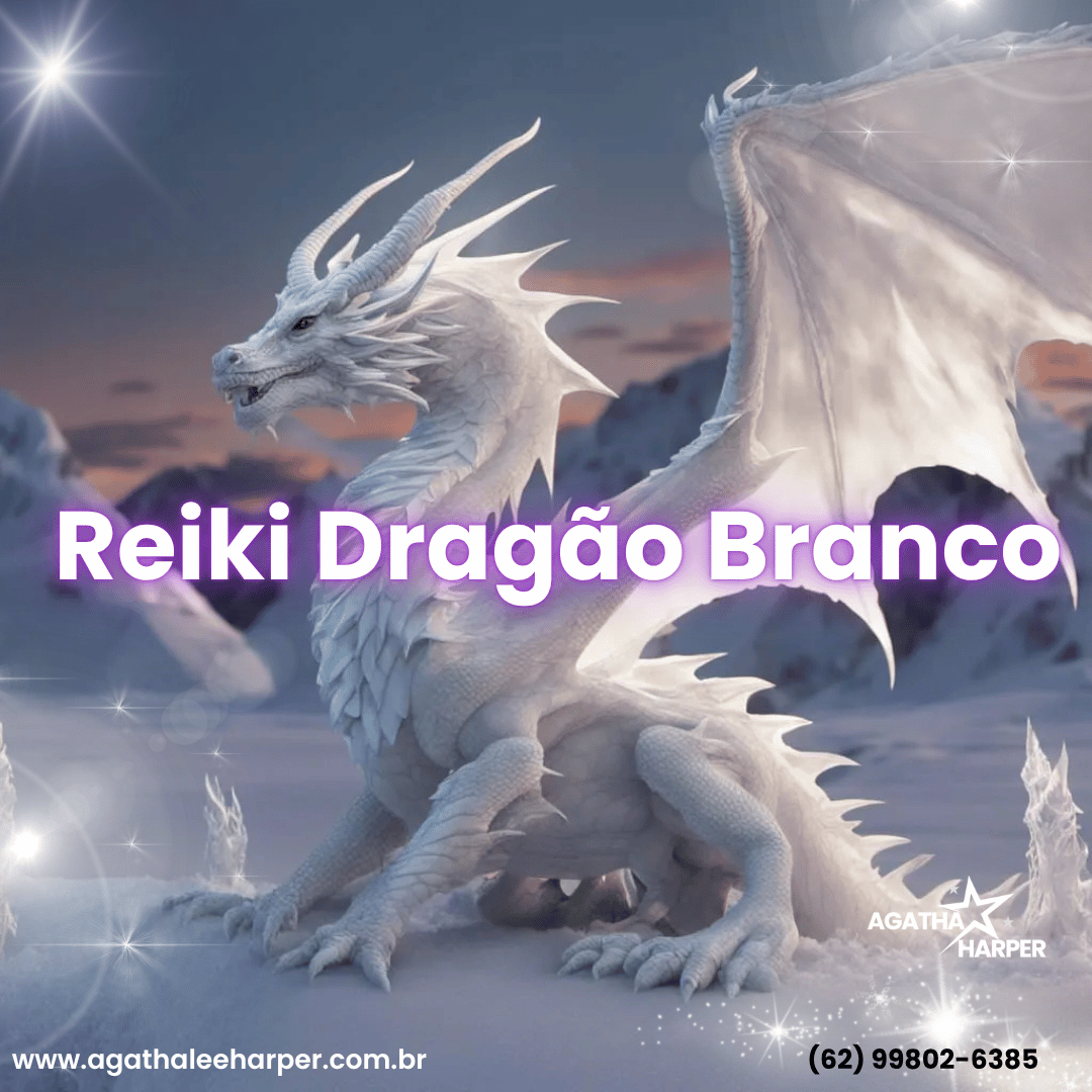 reiki dos dragões (4)